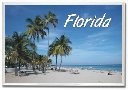 Florida Palms by Coastal Pest Control