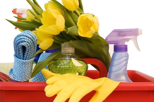 Spring-cleaning by Coastal Pest Control