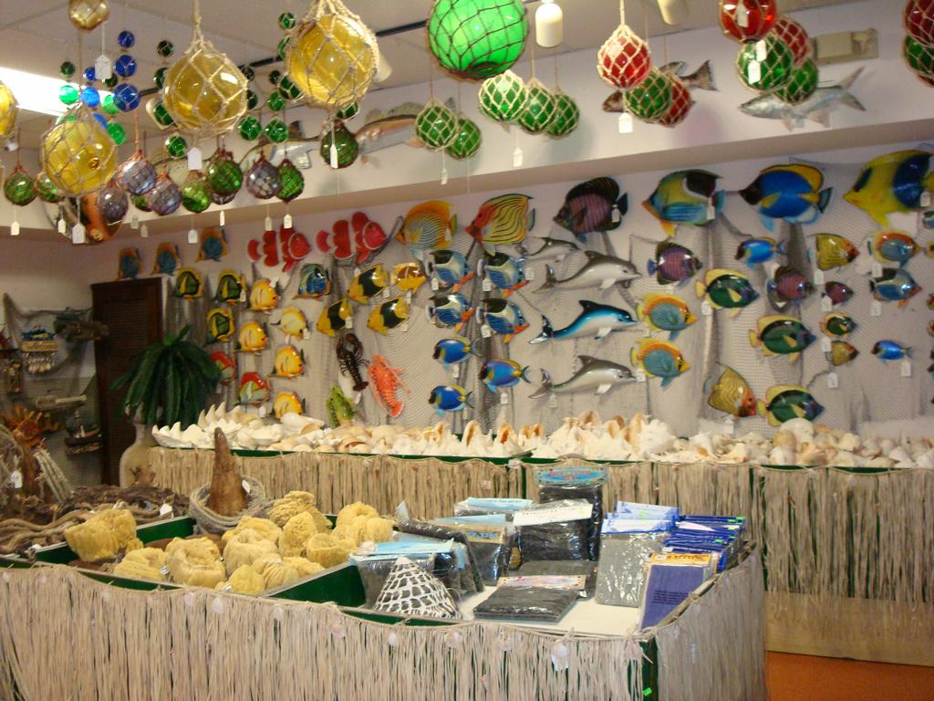 Alex's Flamingo Groves & Gift Shop - Dania Fl 33004 | 800-327-3767