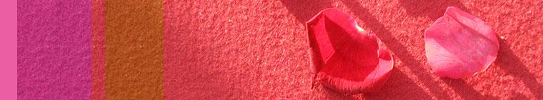 rose_petals_on_cloth by Femine