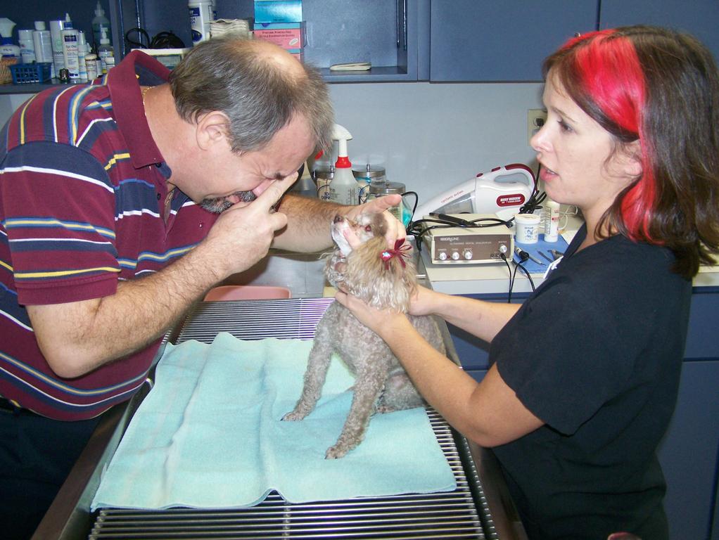 Pictures for Community Animal Hospital of Royal Palm Beach in West Palm