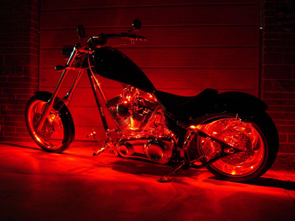 Big Dog Motorcycles Tampa - Tampa FL 33612 | 813-935-4166