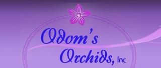 Odom's Orchids Inc