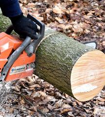 Panorama Tree Care- Tree Services