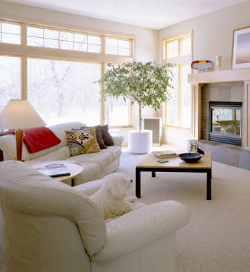 clean living room by TruClean House Cleaning Service