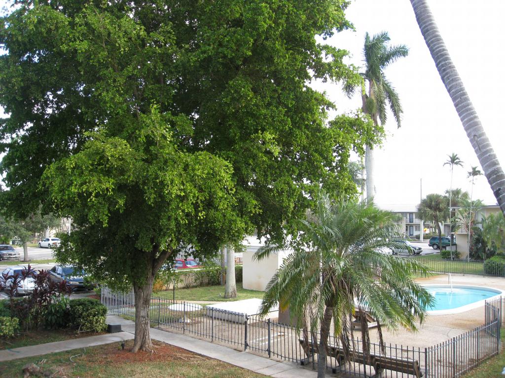 Oasis Apartments Oakland Park Fl Reviews Oasis Apartments Oakland Park Fl Reviews