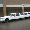  by Cincy Limos