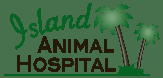 Island Animal Hospital on Cocoa Beach