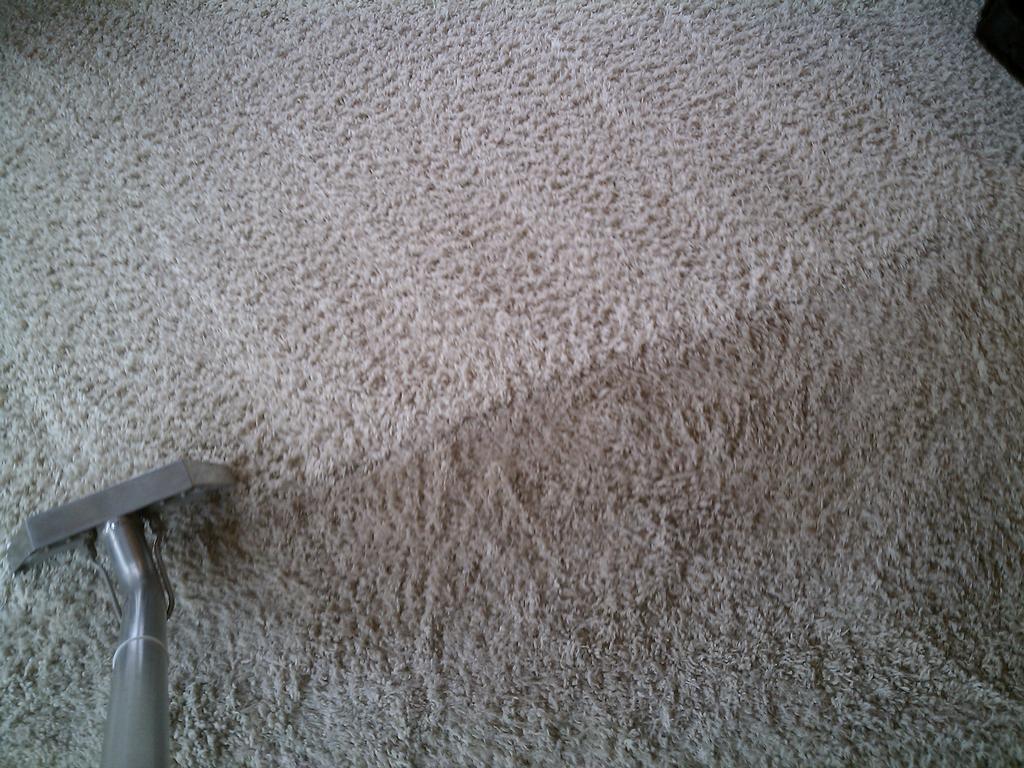 IMAG0081.jpg by Seattle Commercial carpet cleaning