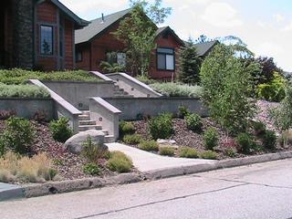 David Moorman Landscape Design