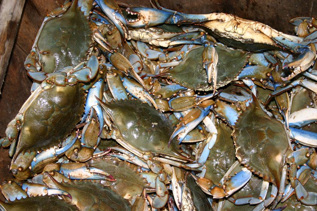 Pictures for Aucoin's Cajun Restaurant in Hayes, LA 70646