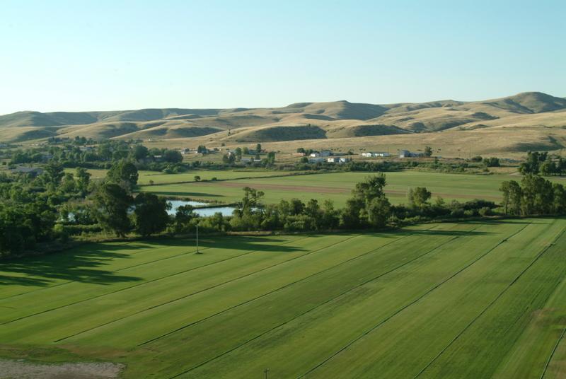 Green Carpet Sod Sheridan WY 82801 8003729665 Nurseries