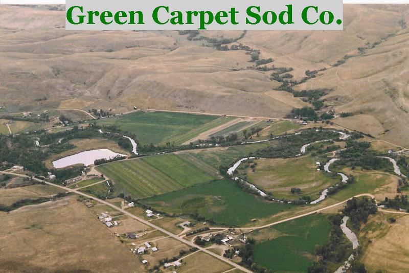 Green Carpet Sod Sheridan WY 82801 8003729665 Nurseries