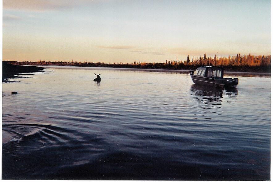 bpbwmiw by Silver Streak Boats