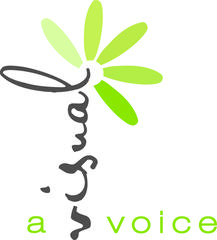 A Visual Voice