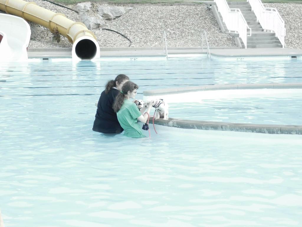 Happy Tails Boarding, Daycare & Grooming Cape Girardeau MO 63701 5736511800