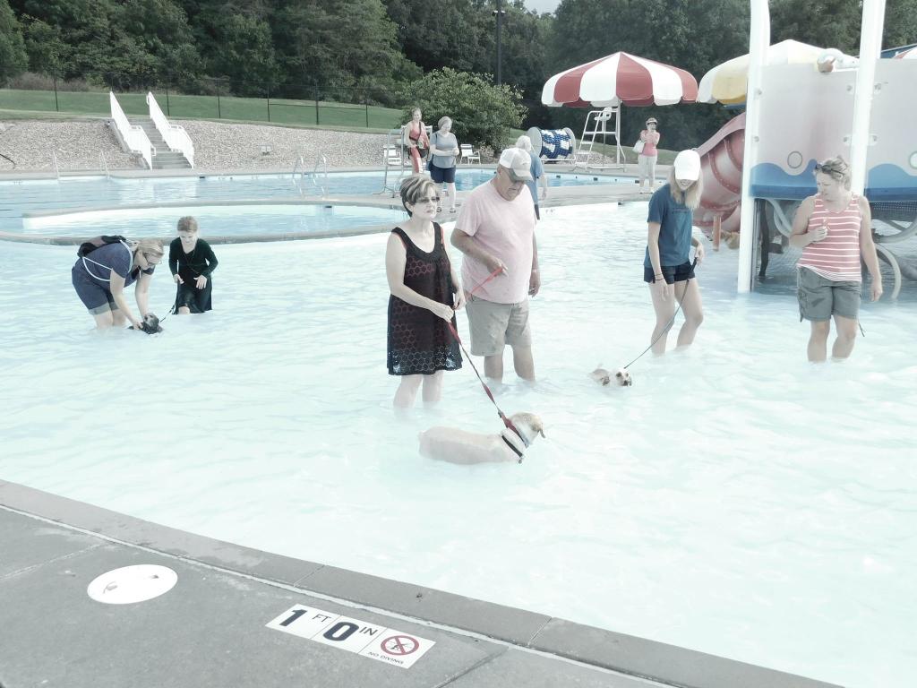 Happy Tails Boarding, Daycare & Grooming Cape Girardeau MO 63701