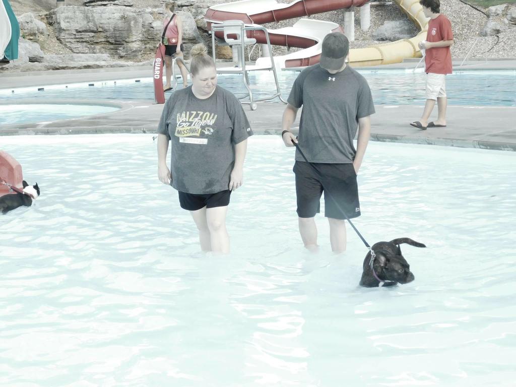 Happy Tails Boarding, Daycare & Grooming Cape Girardeau MO 63701 5736511800