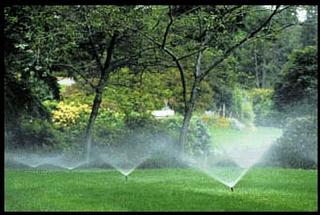Another Lawn Sprinkler Company