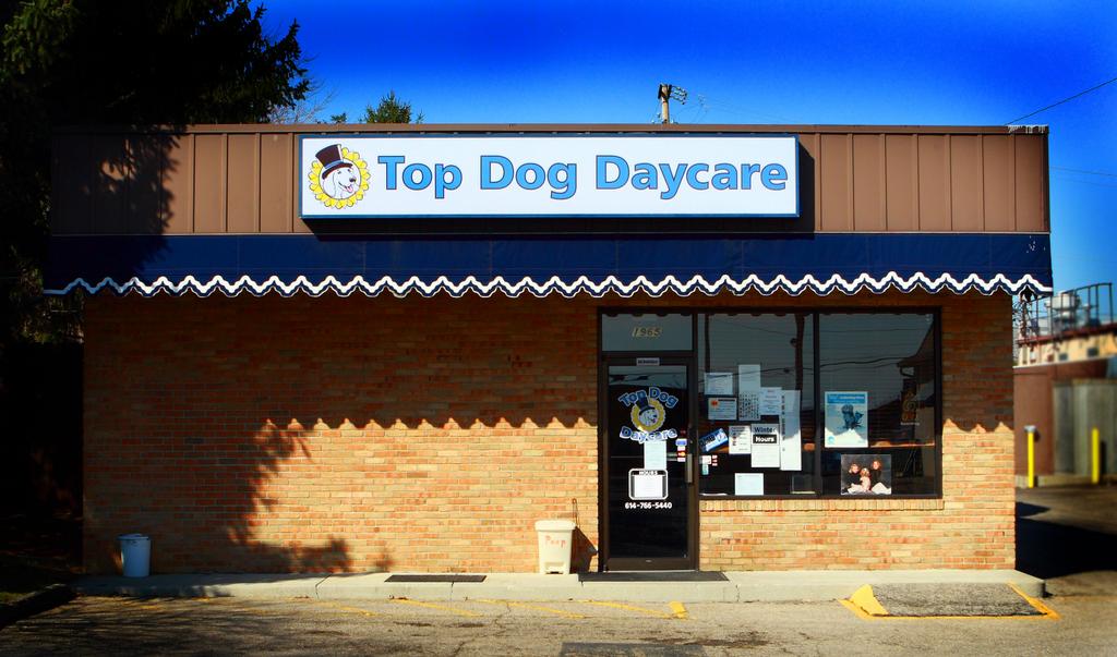 Top Dog Daycare Columbus OH 43235 6147665440 Cat Boarding