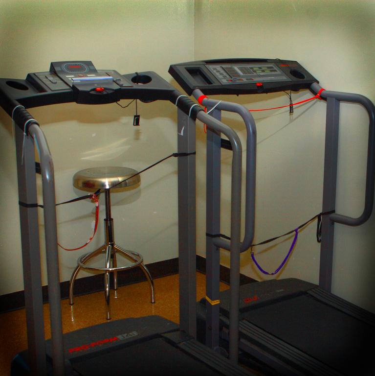 Top Dog Daycare Columbus OH 43235 6147665440 Cat Boarding