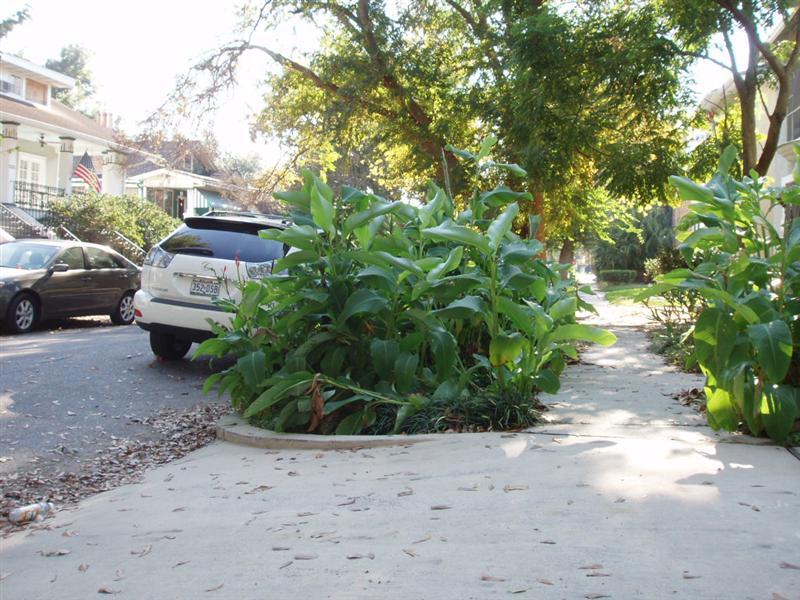  by Neighborhood Home & Property Services