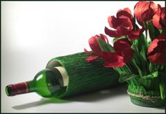 WineCarrier by Pringle and Zimring