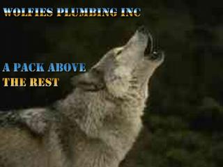 wolfies plumbing inc