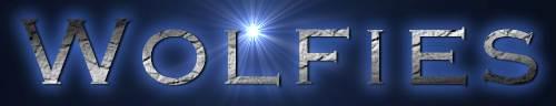 coollogo_com_24241271 by wolfies plumbing inc