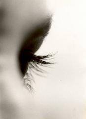 THE EYES ARE IT  Eyelash Extensions by Roseann