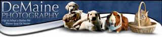 DeMaine Image Pet Photography