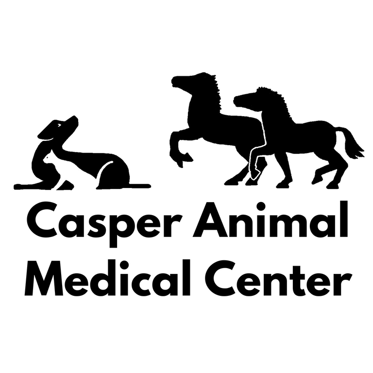  by Casper Animal Medical Center