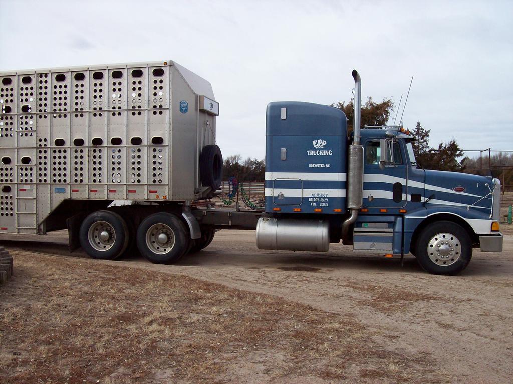 new 2009 050 by Epp Trucking