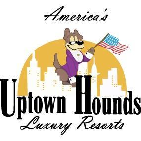  by Uptown Hounds