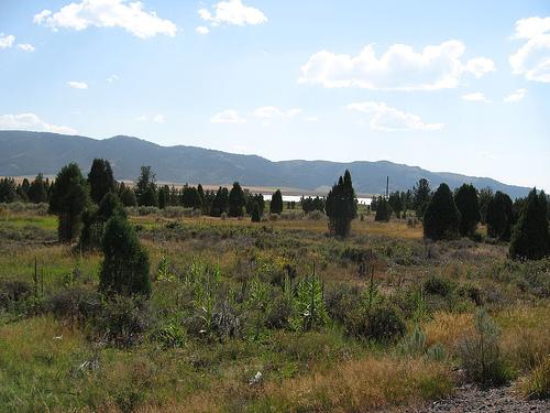 Cedars at Alexander Reservoir by Idaho/Utah HighCountry Real Estate