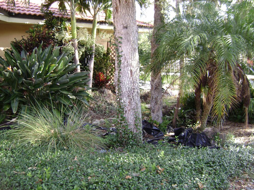 DSC00087 by Tropical Florida Landscaping Inc