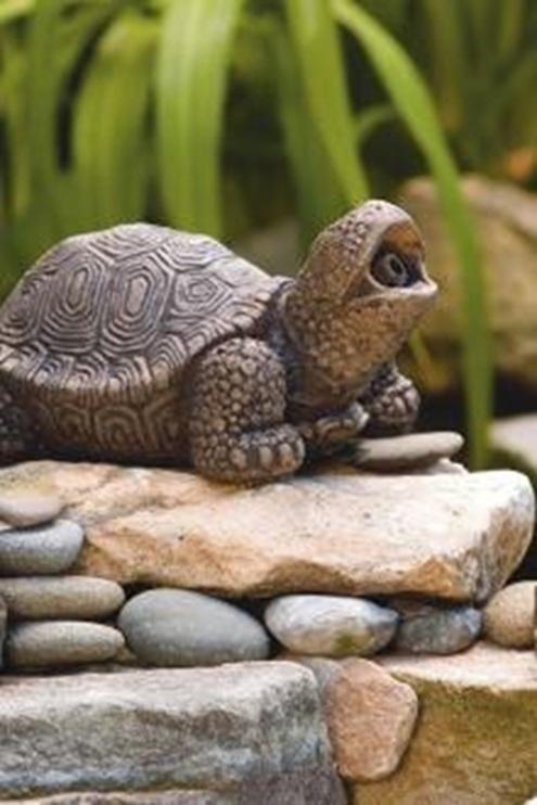  by Grassland Aquatics