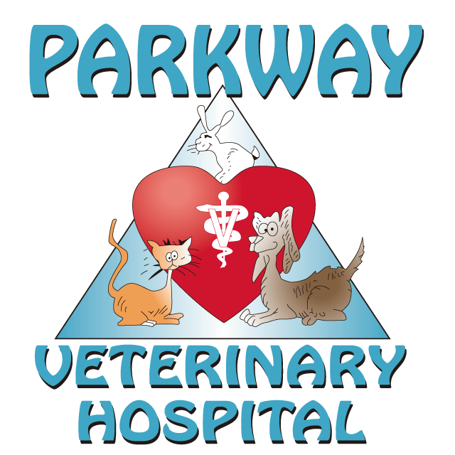 Parkway Veterinary Hospital Cape May Court House NJ 08210 6094655590