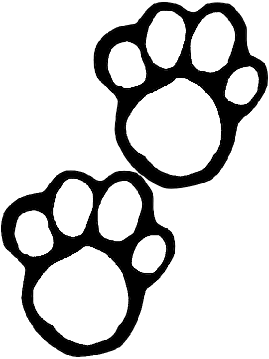 Pictures for Happy Tails Self Serve Dog Wash in Sandwich, MA 02563