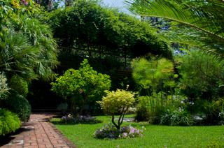 American Landscape & Lawn
