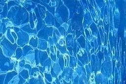  by Ever Clear Pools Services