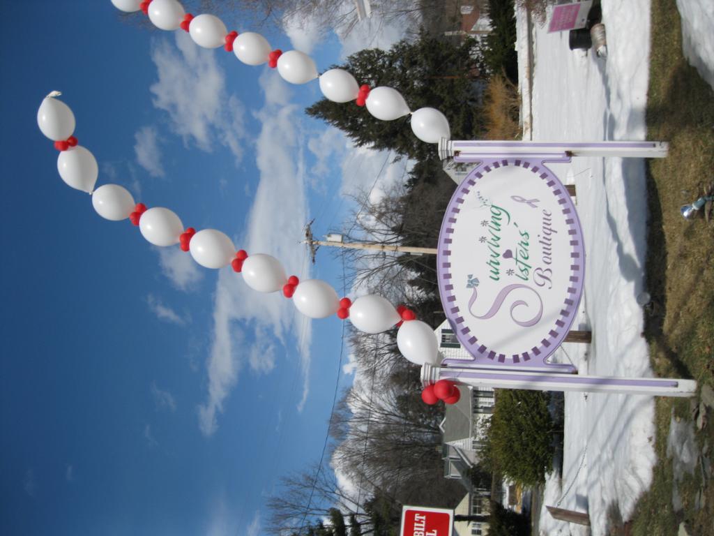 IMG_5090.JPG by Surviving Sisters' Boutique