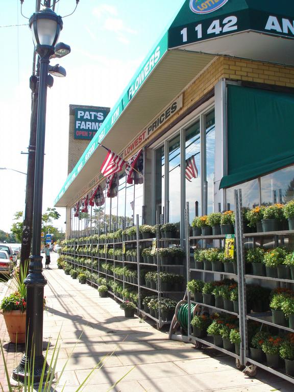 Pat's Farm Merrick NY 11566 5164815525 Produce Retailers