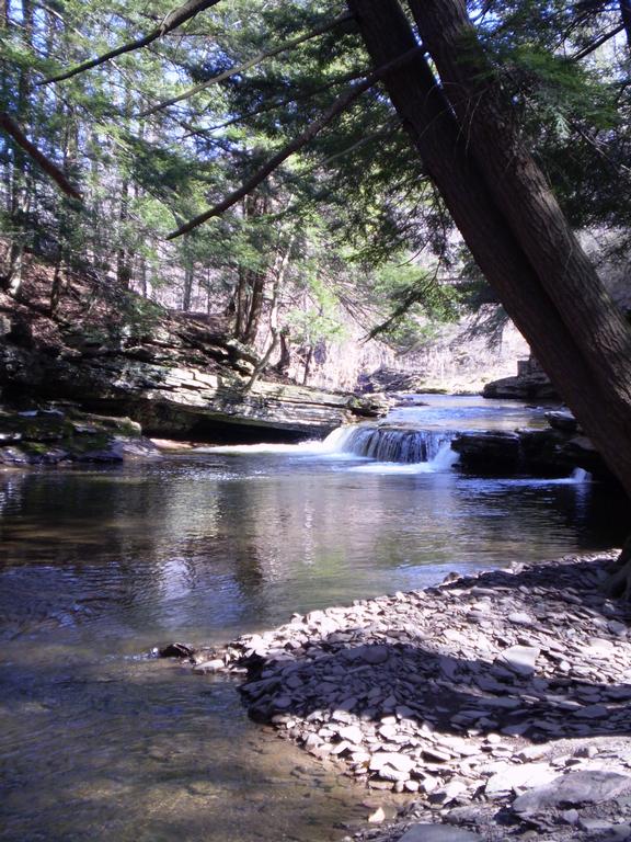 Pictures for Cherry Mills Lodge Bed and Breakfast in Dushore, PA 18614