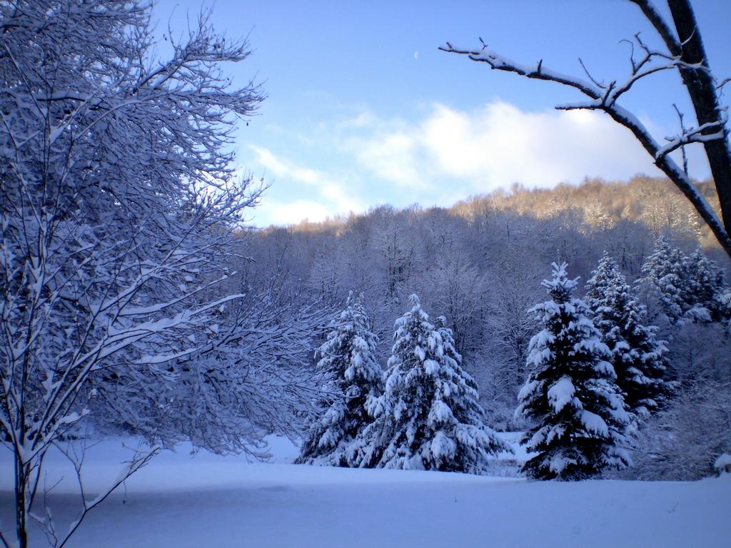 Pictures for Cherry Mills Lodge Bed and Breakfast in Dushore, PA 18614