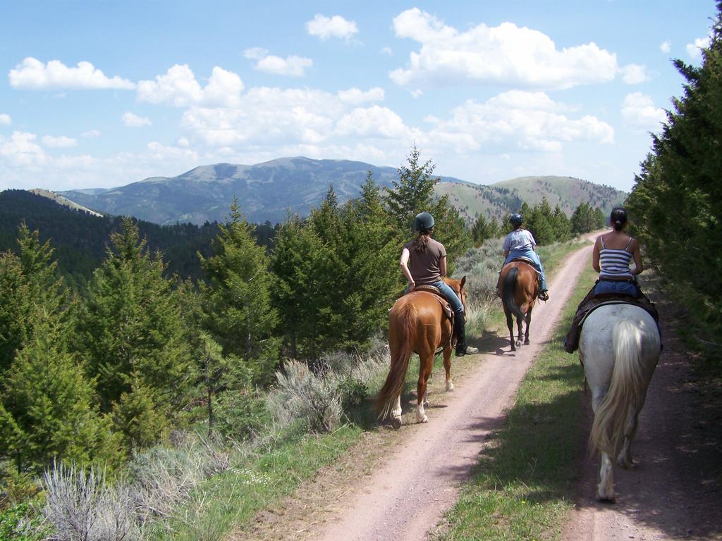 Rocking Z Guest Ranch Wolf Creek MT 59648 4064583890