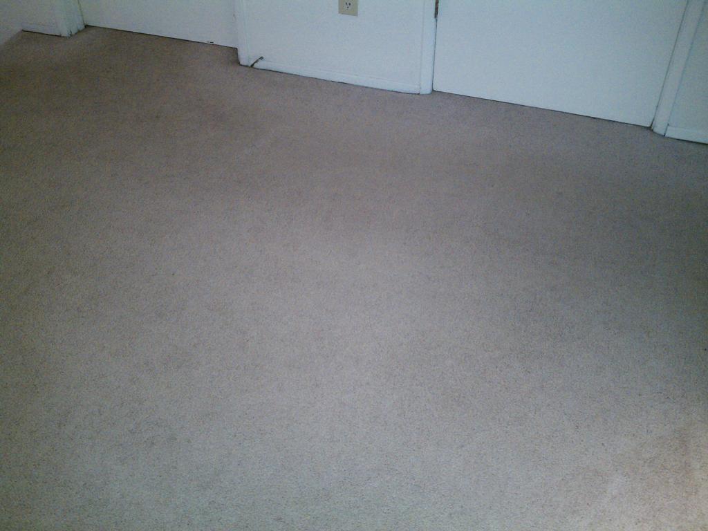 SAMMAMISH CARPET CLEANERS Sammamish WA 98075 4258023103