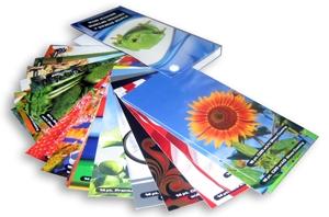 Samples Swatch by Pipo
