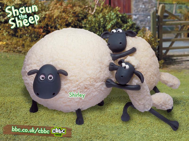 Muddy Dog Dog Grooming - Kissimmee FL 34744 | 407-344-9663