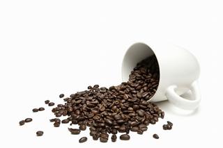 Adirondack Coffee Roasters